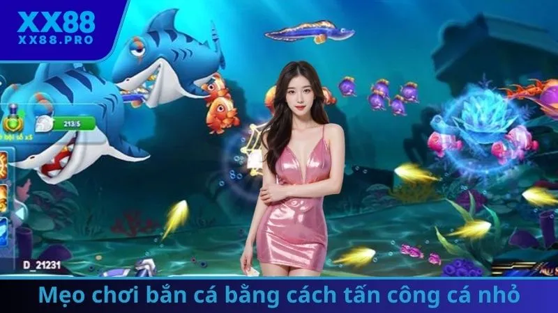 Mẹo chơi bắn cá bằng cách tấn công cá nhỏ